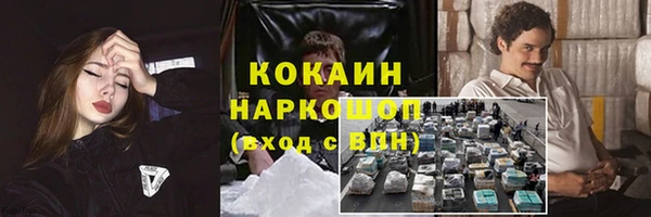 тгк Алексин