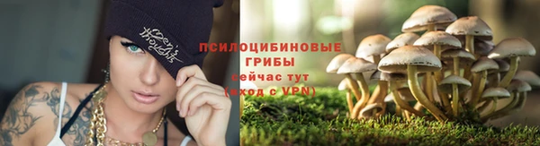 jwh Аркадак