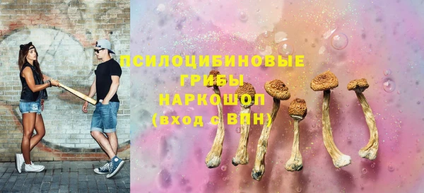 соль ск Арсеньев
